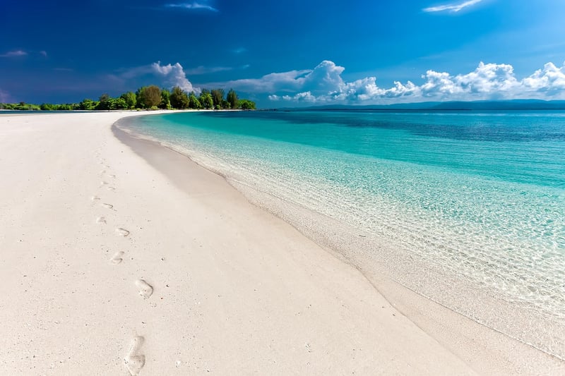 Beachfront Wedding